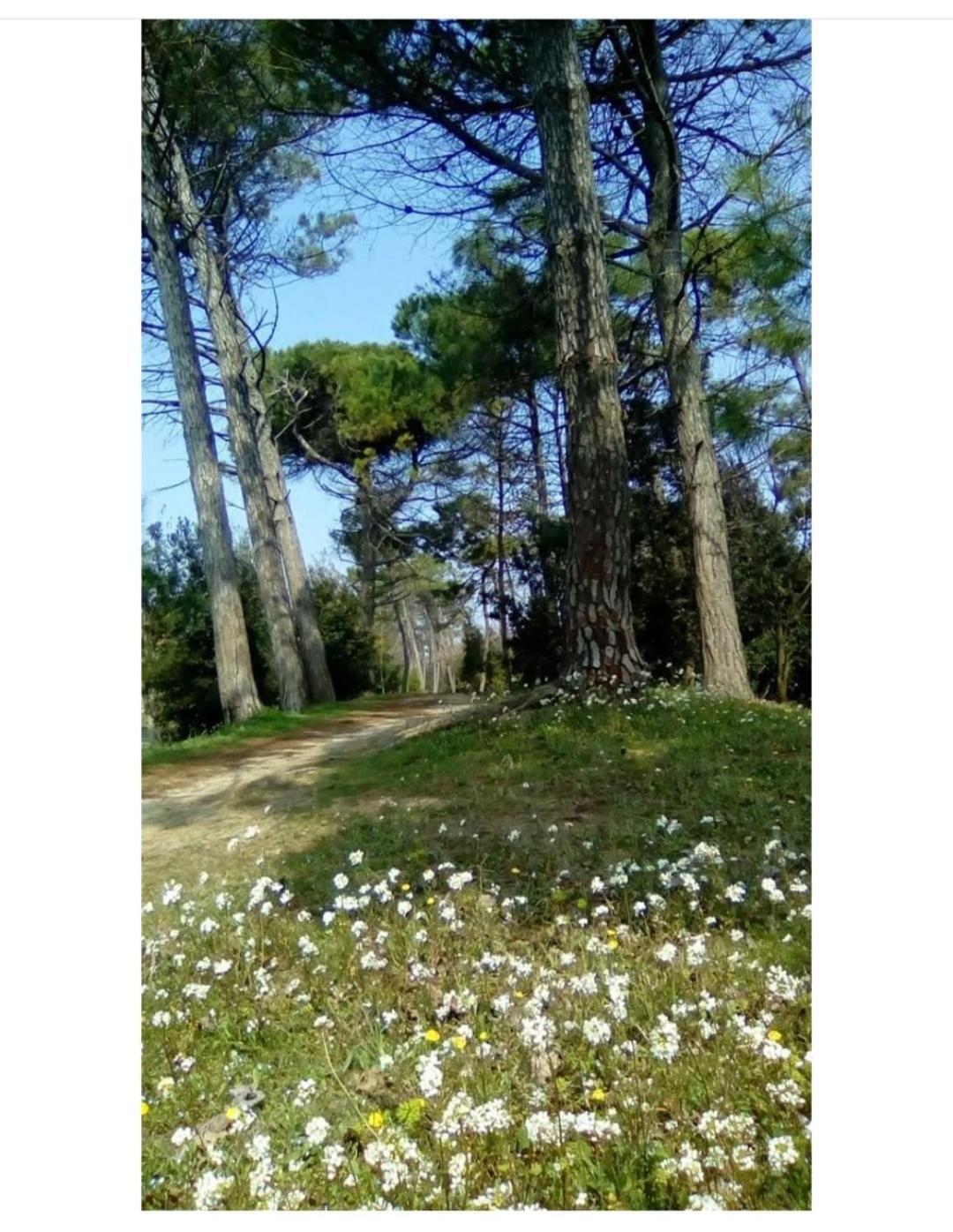 Hotel Nazionale 3*
